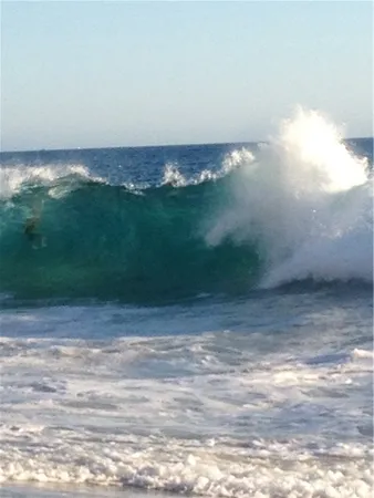 a view of a big yard