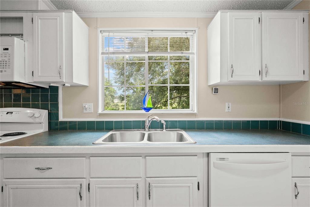 34945 Buck Road Zephyrhills, FL 33541 - Photo 12 of 47 Gallery Image 12