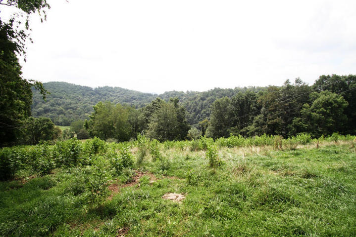 848 Mount Zion Church Road Alderson, WV 24910 - Photo 1 of 60 Gallery Image 1