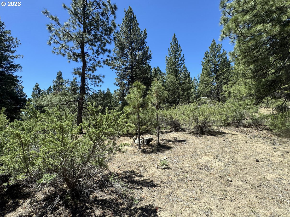 Friendship Drive, Unit 15 Chiloquin, OR 97624 - Photo 39 of 41