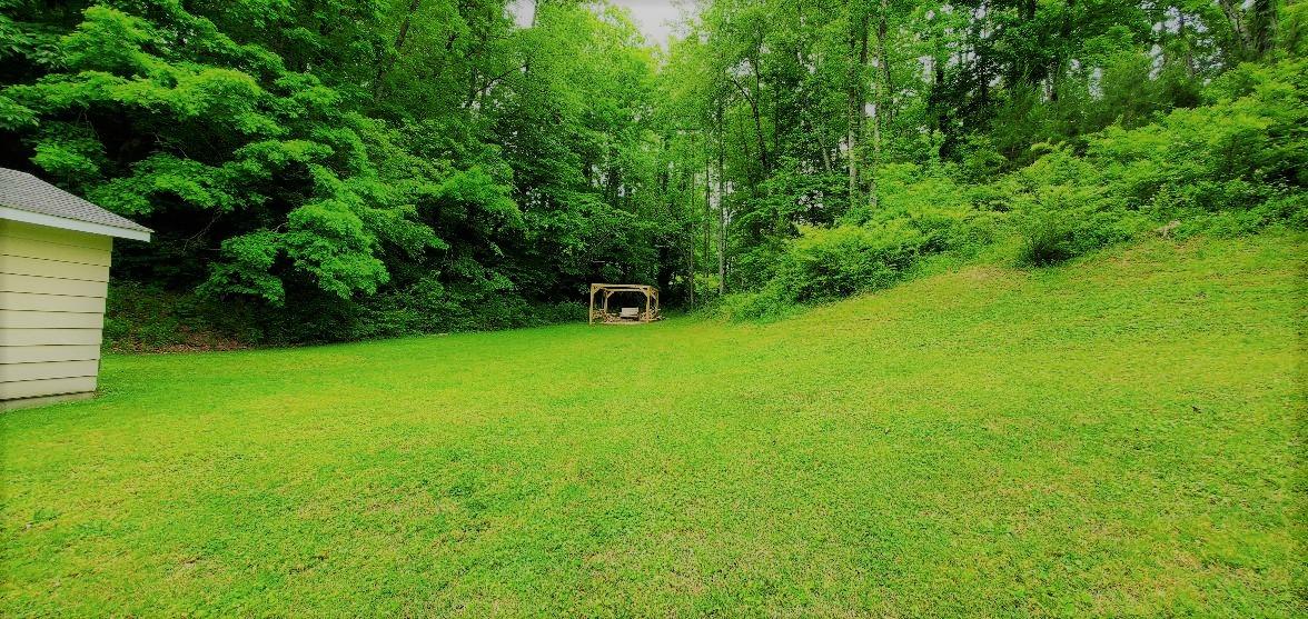 307 Ridgewood Drive Clinton, TN 37716 - Photo 25 of 30 Big yard Bordered by trees on 2 sides!