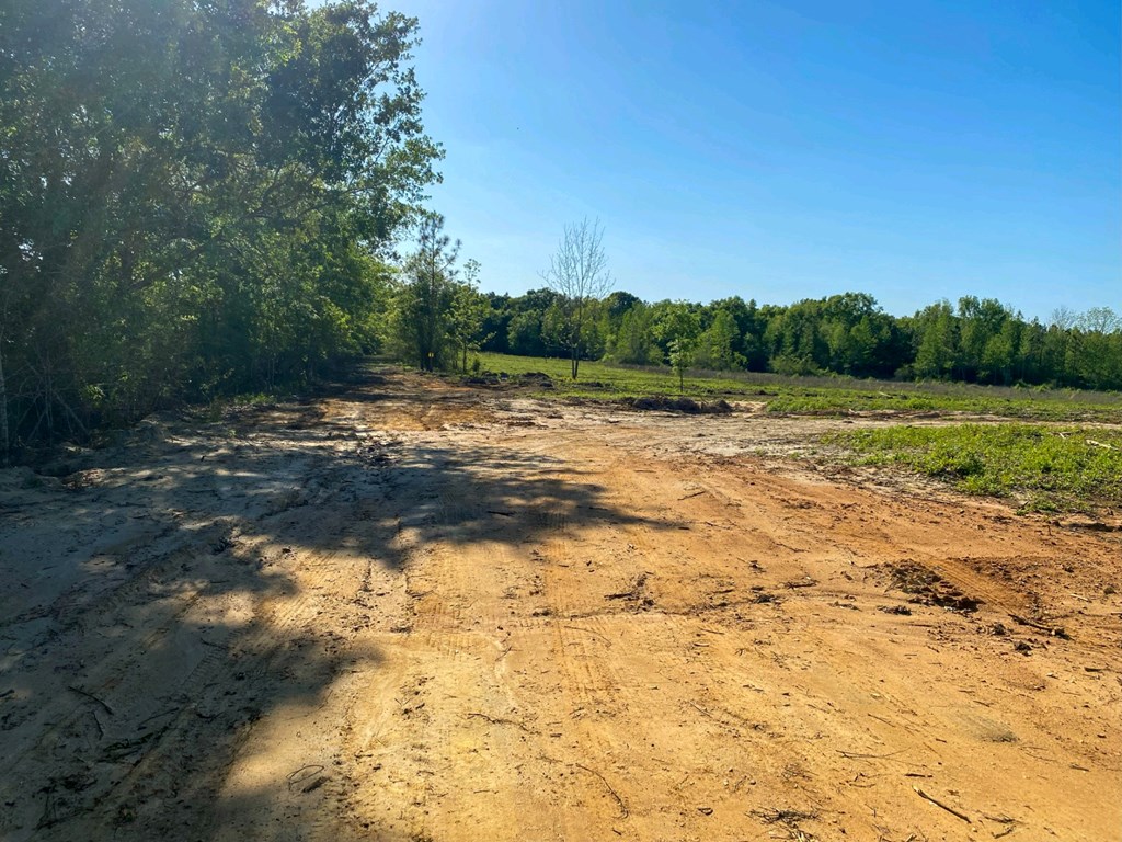 2776 New Hinson Road Slocomb, AL 36375 - Photo 4 of 12