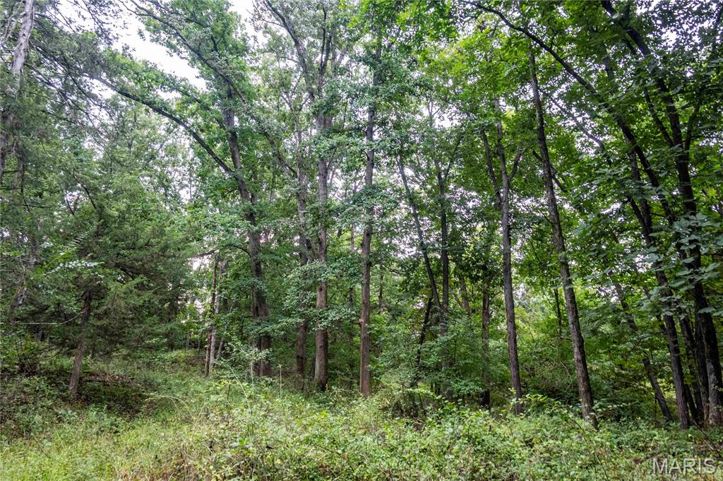 0 293 County Road Kahoka, MO 63445 - Photo 60 of 65 Gallery Image 60