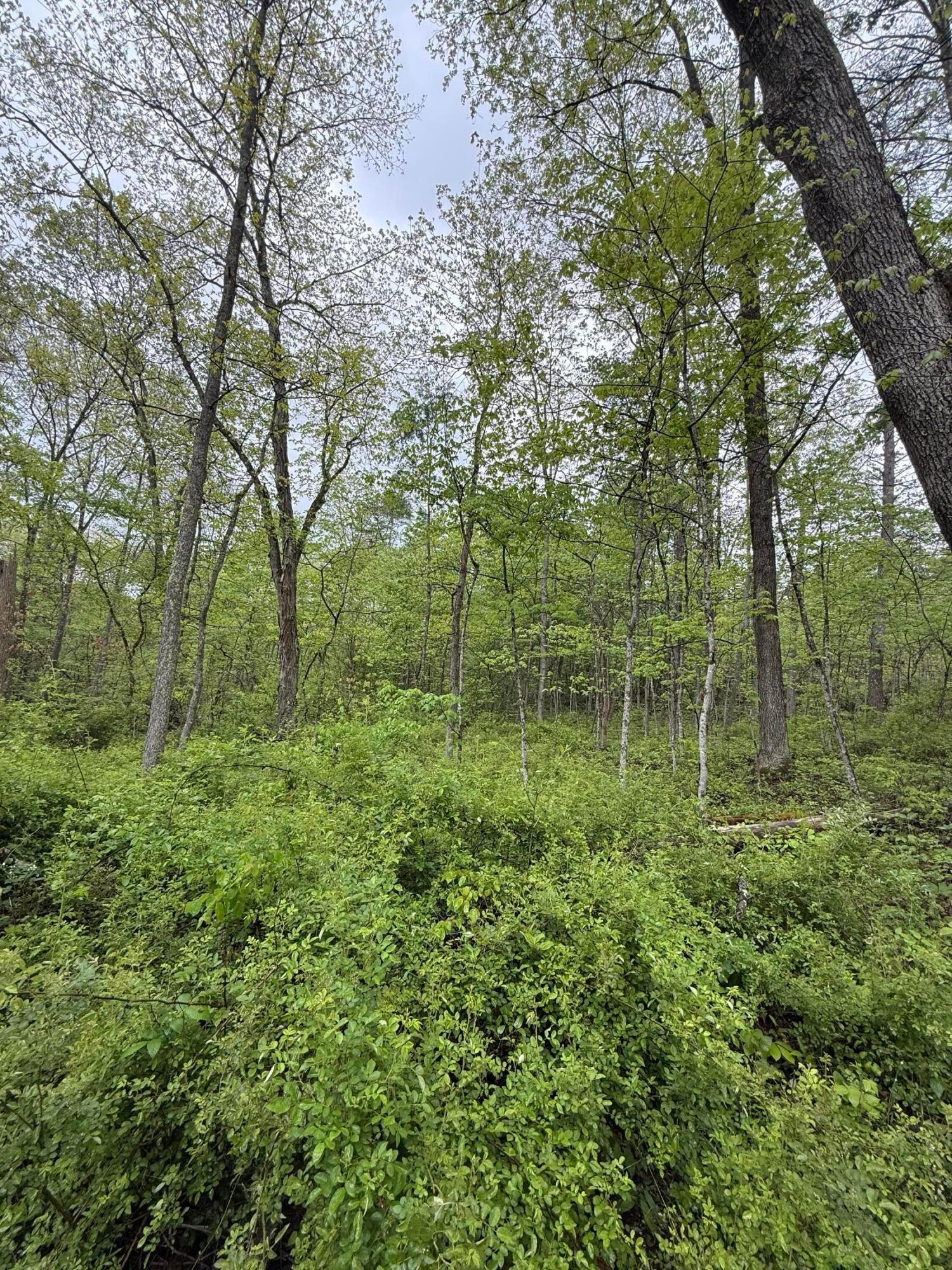 29500 Fairview Ridge Road Logan, OH 43138 - Photo 39 of 73 IMG_2269