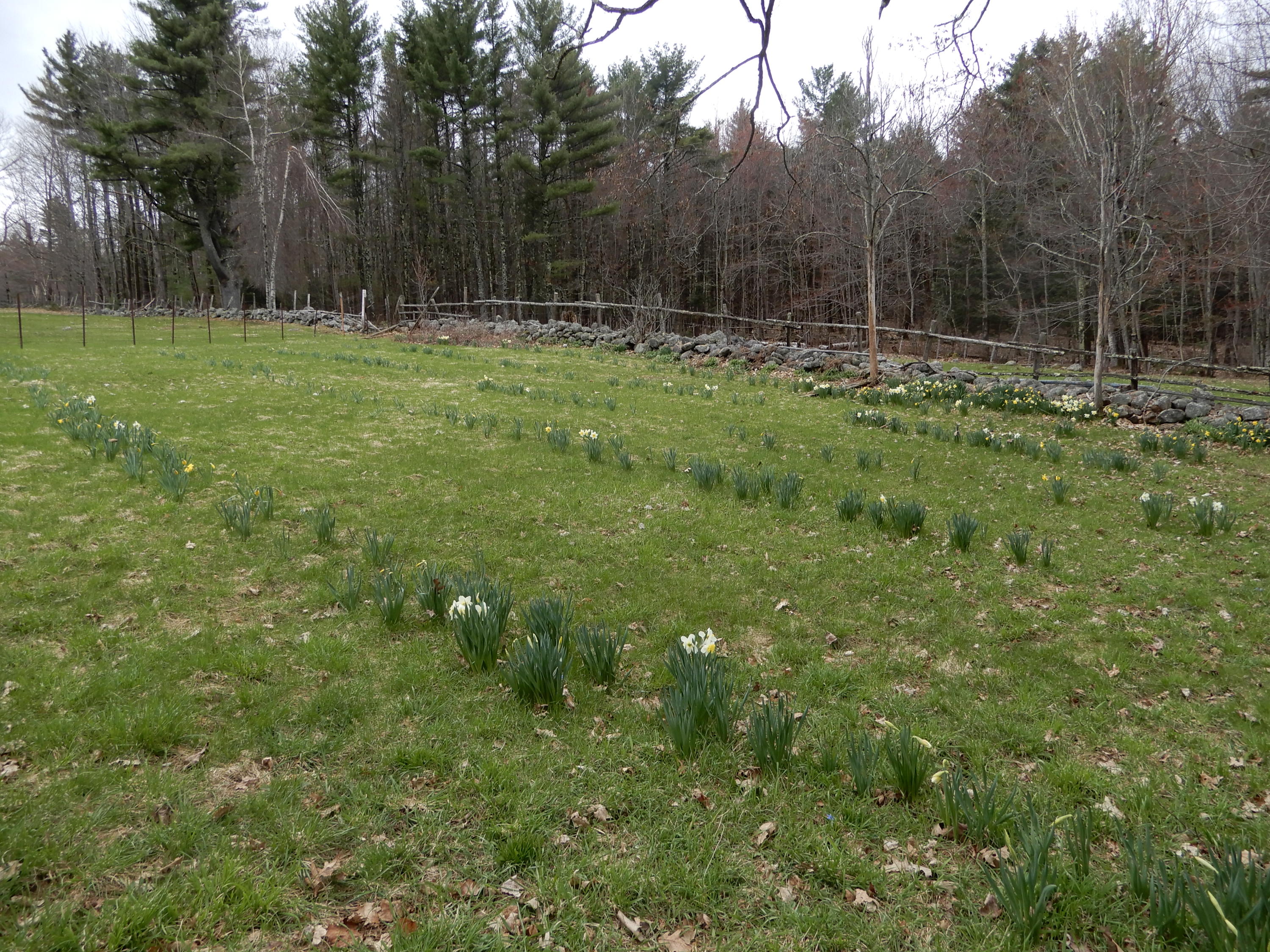 76 Anderson Road West Baldwin, ME 04091 - Photo 5 of 28 DSCN0622