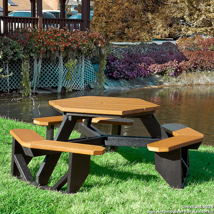 5785 Companion Loop Bulverde, TX 78163 - Photo 44 of 52