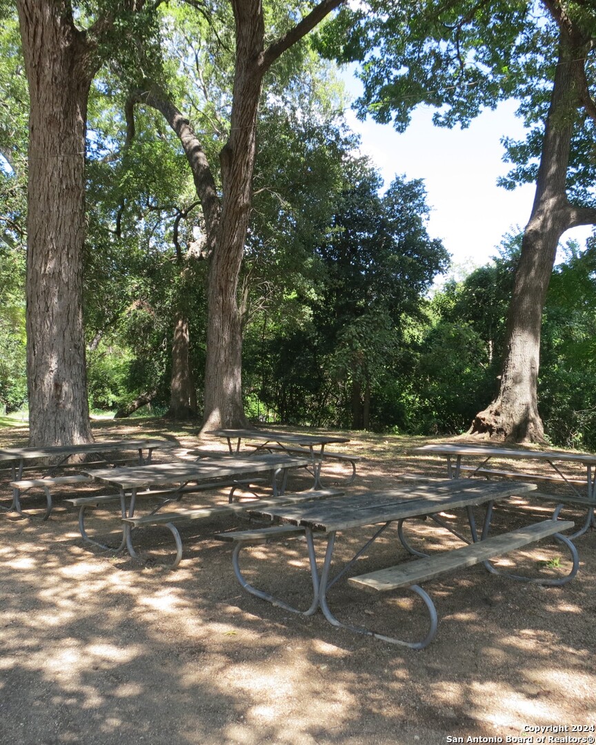 5785 Companion Loop Bulverde, TX 78163 - Photo 46 of 52