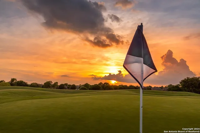 a view of a flower in a garden
