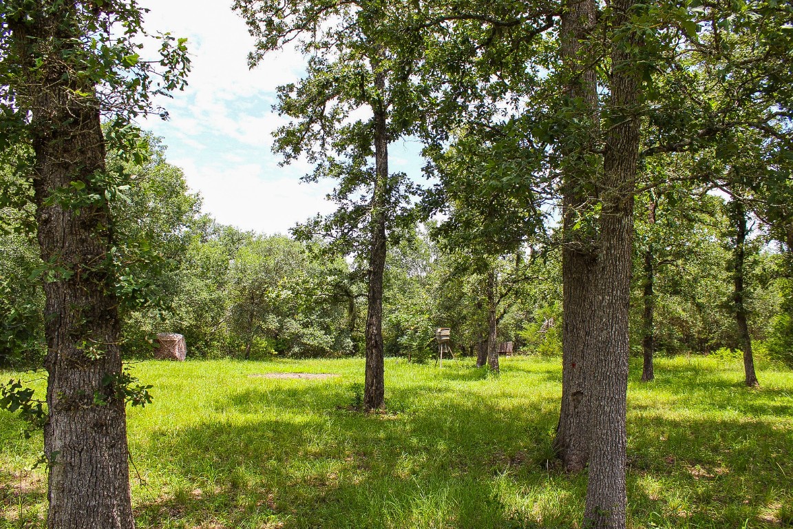 1076 West Branding Iron Road Weimar, TX 78962 - Photo 8 of 24 a view of outdoor space with a garden