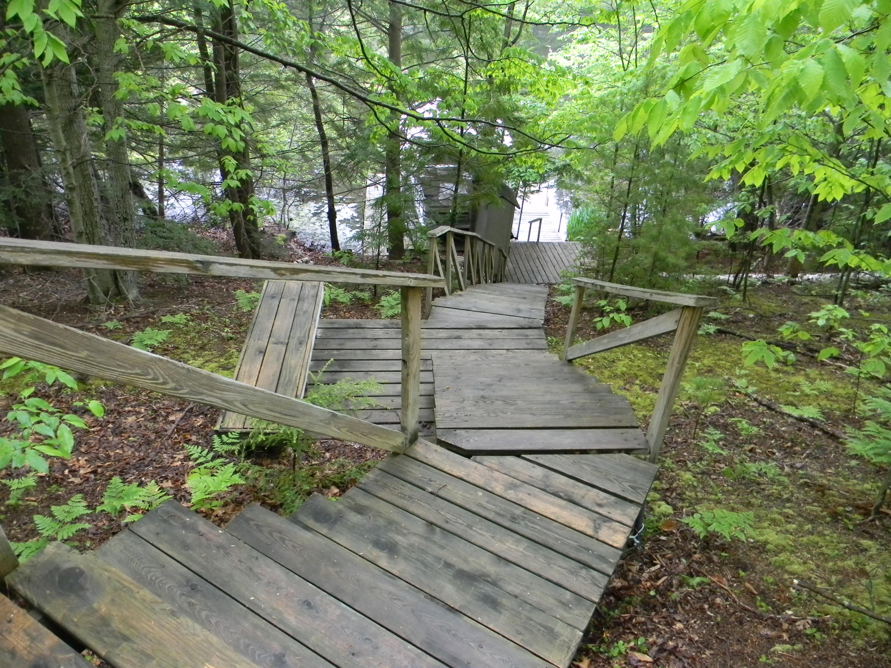 6647 West Jackson Road Ludington, MI 49431 - Photo 7 of 37 Heading Down