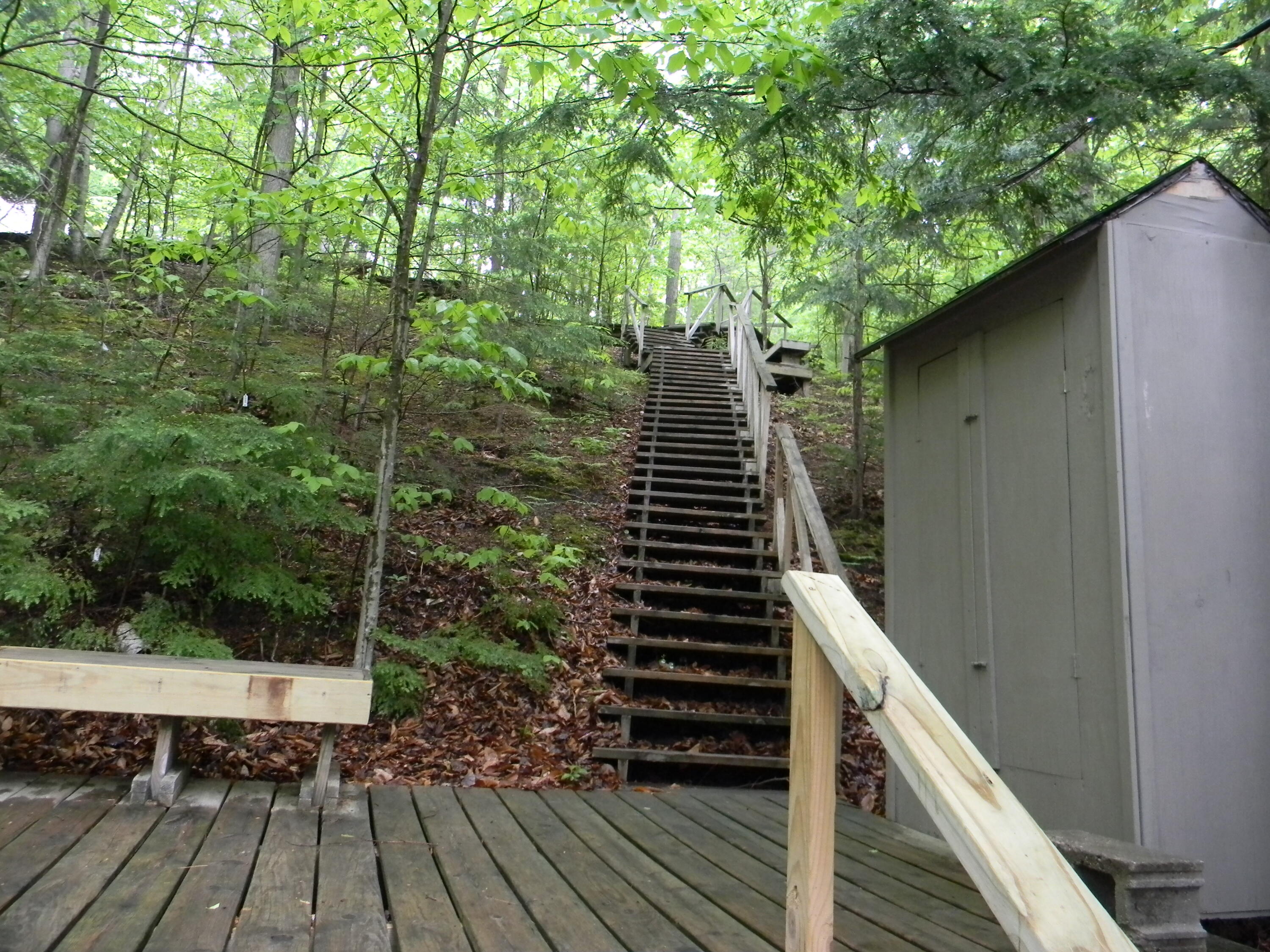 6647 West Jackson Road Ludington, MI 49431 - Photo 10 of 37 Heading Back Up