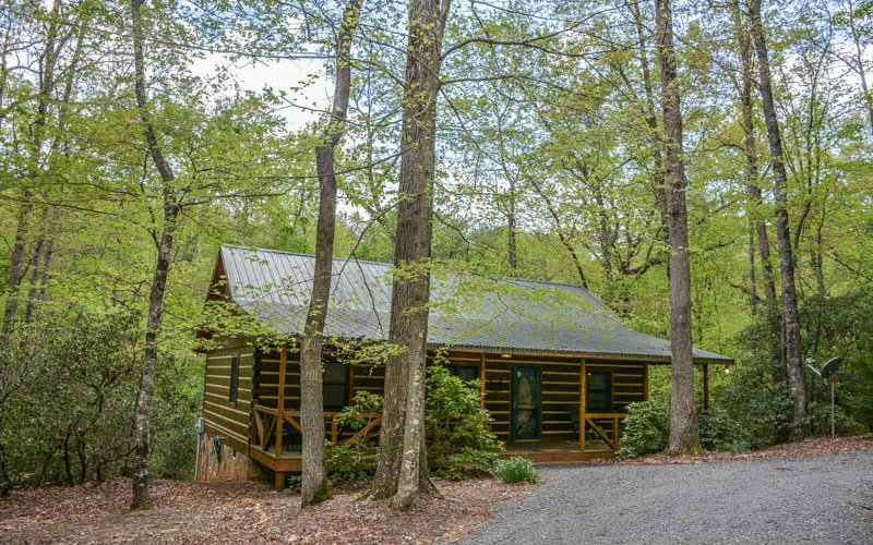 Main View