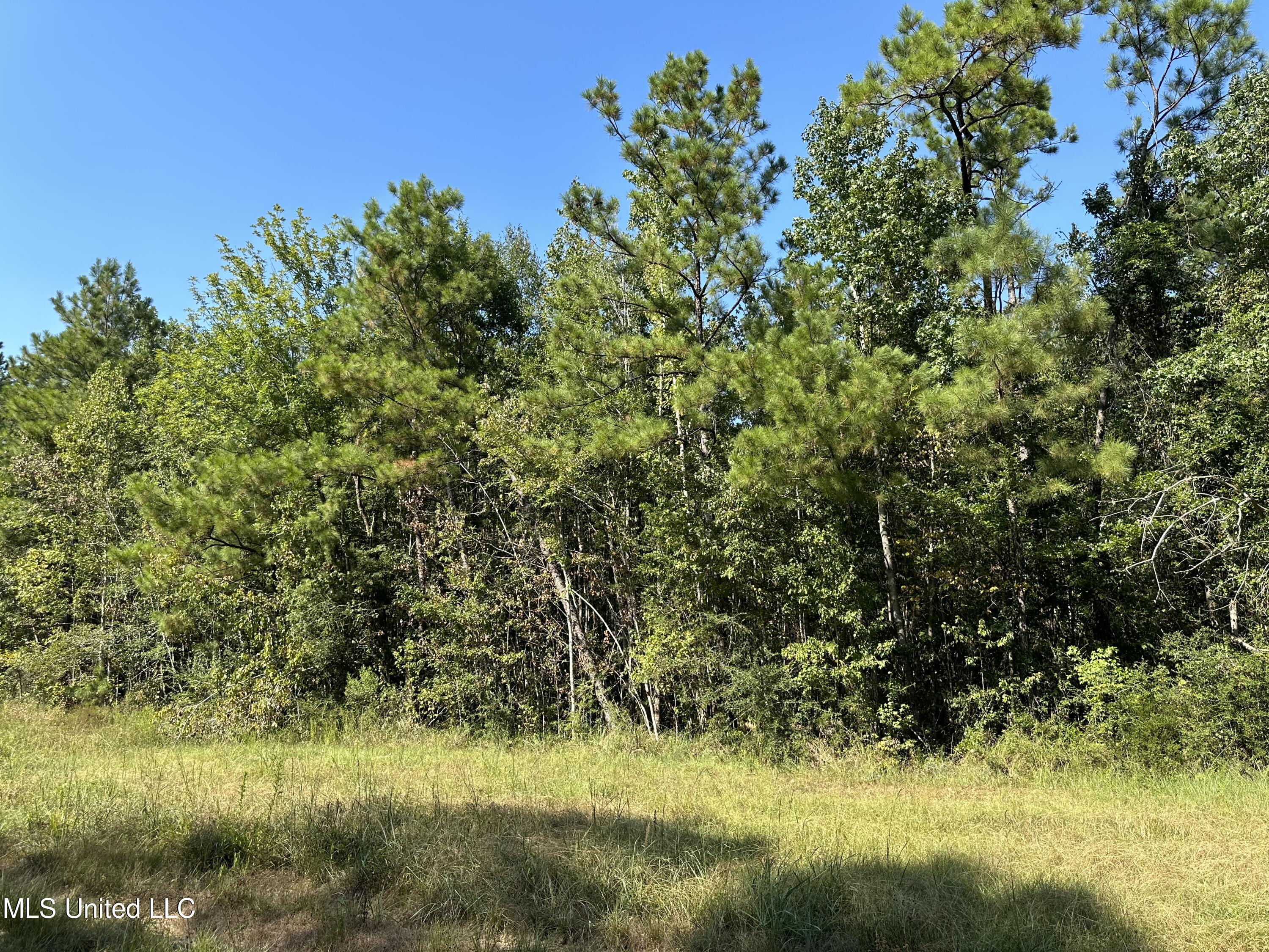 98.5-acres Crossroads-Merrill Road Lucedale, MS 39452 - Photo 8 of 8 13571CA0-79EB-4407-A16F-EEEB72D8AF68
