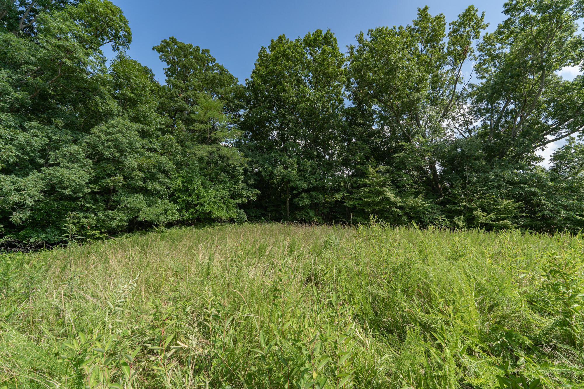 280 Corinth-Hinton Road Corinth, KY 41010 - Photo 6 of 41 Gallery Image 6