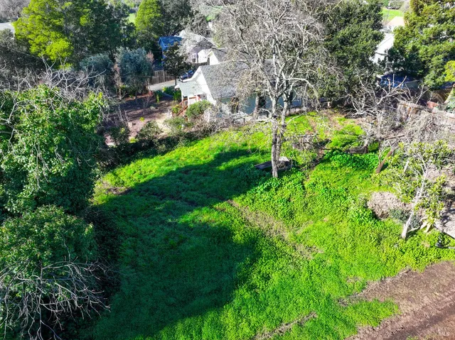 a green field with lots of bushes