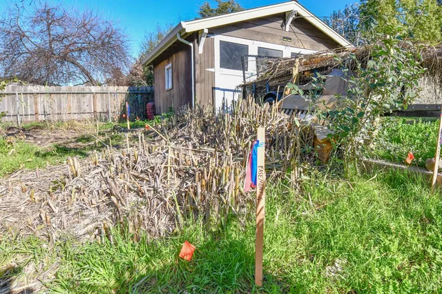a front view of a house with a yard and potted plants