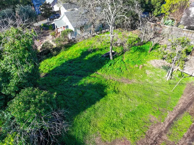 a view of yard with green space