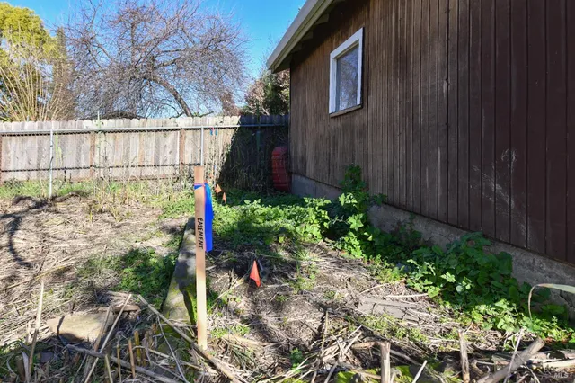 a view of a backyard with plants