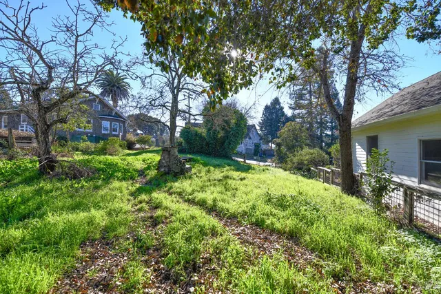 a view of backyard with table and chairs and a large tree
