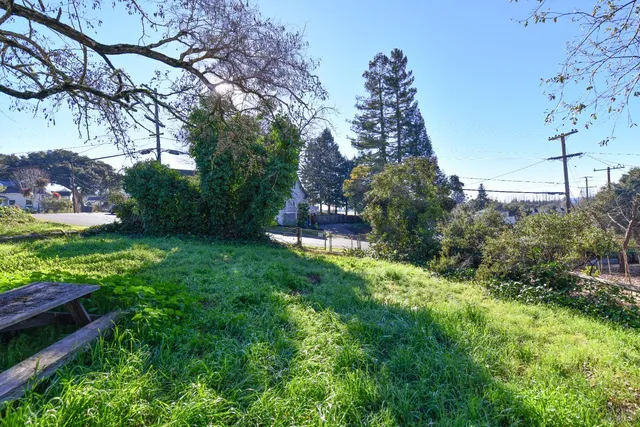 a view of a garden with a fountain