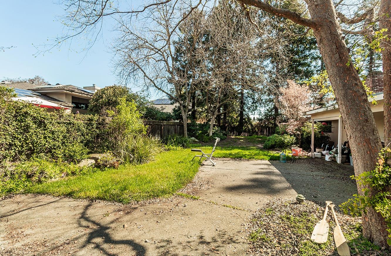 2501 Ashcroft Avenue Clovis, CA 93611 - Photo 20 of 24 a view of a park with plants and trees