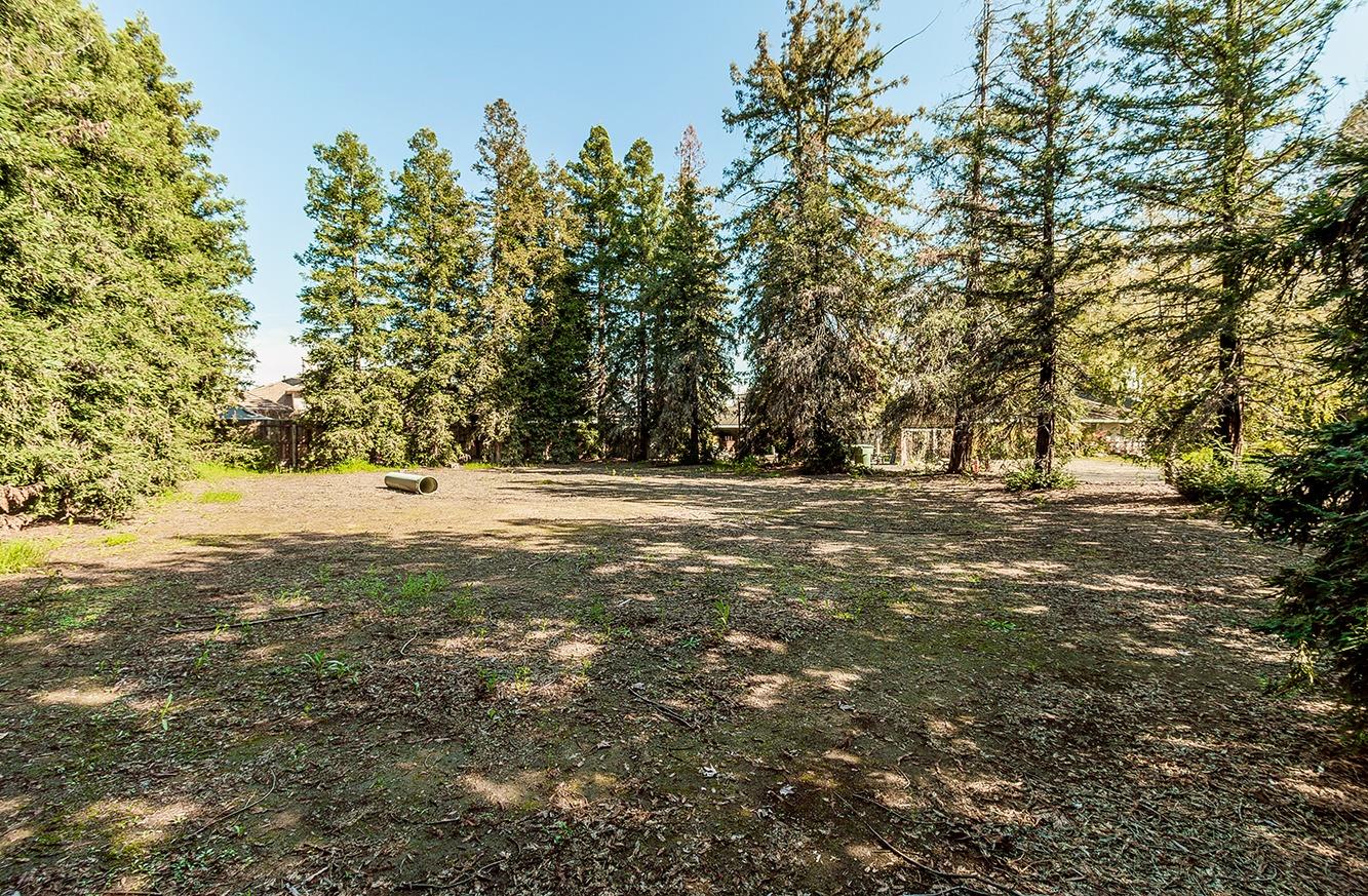 2501 Ashcroft Avenue Clovis, CA 93611 - Photo 24 of 24 a view of outdoor space with trees