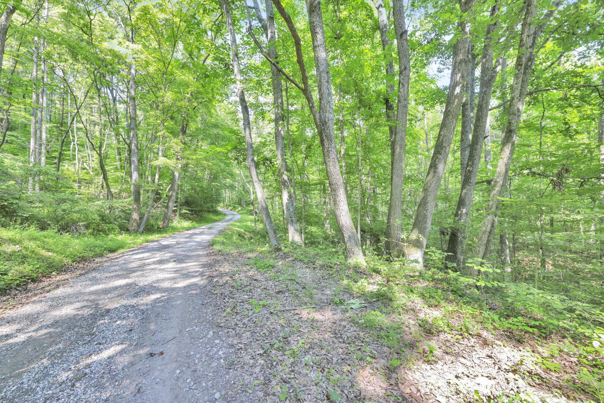 0 Thad Hall Road Laurelville, OH 43135 - Photo 3 of 28 26-web-or-mls-GR7A6871
