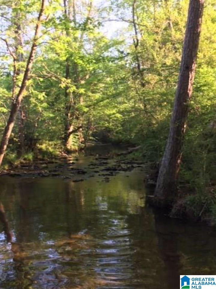 0 Marsh Drive Cleveland, AL 35049 - Photo 2 of 11