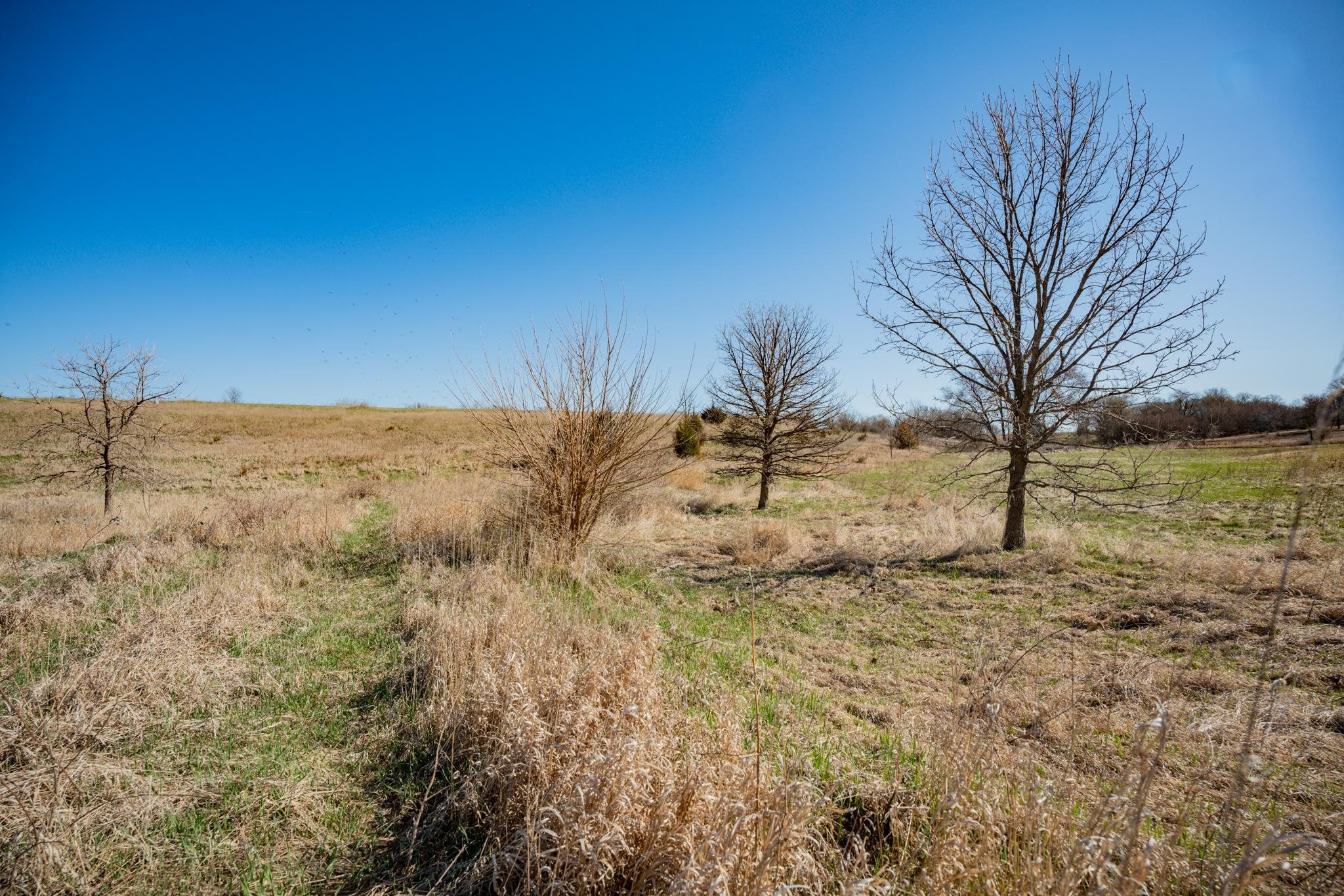 88-xx 88-xx Trask Bridge Road Rockton, IL 61072 - Photo 28 of 39 a view of mountain view with trees