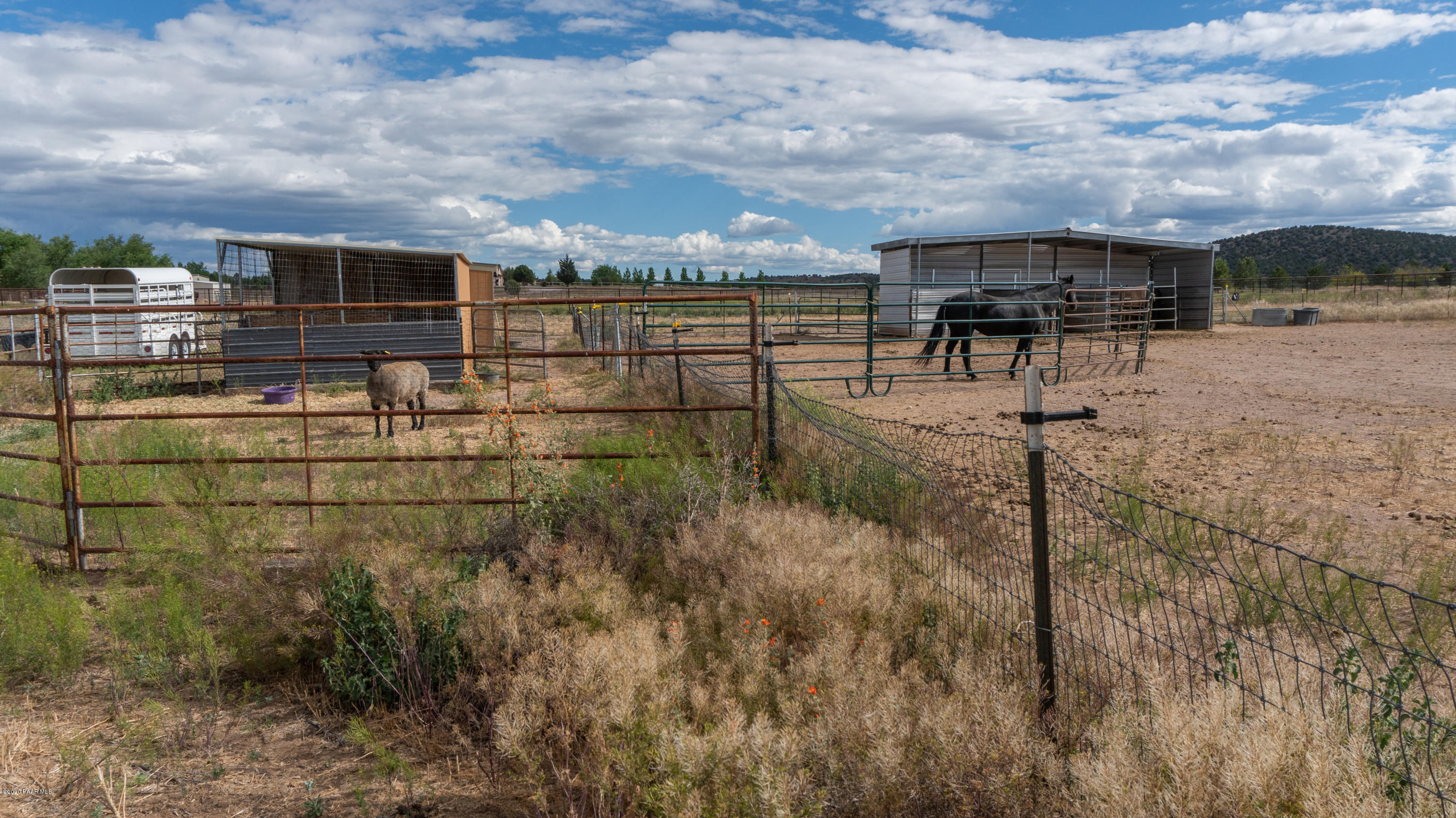 21355 North Ridgeview Road Paulden, AZ 86334 - Photo 42 of 53 DSC02375 (1)