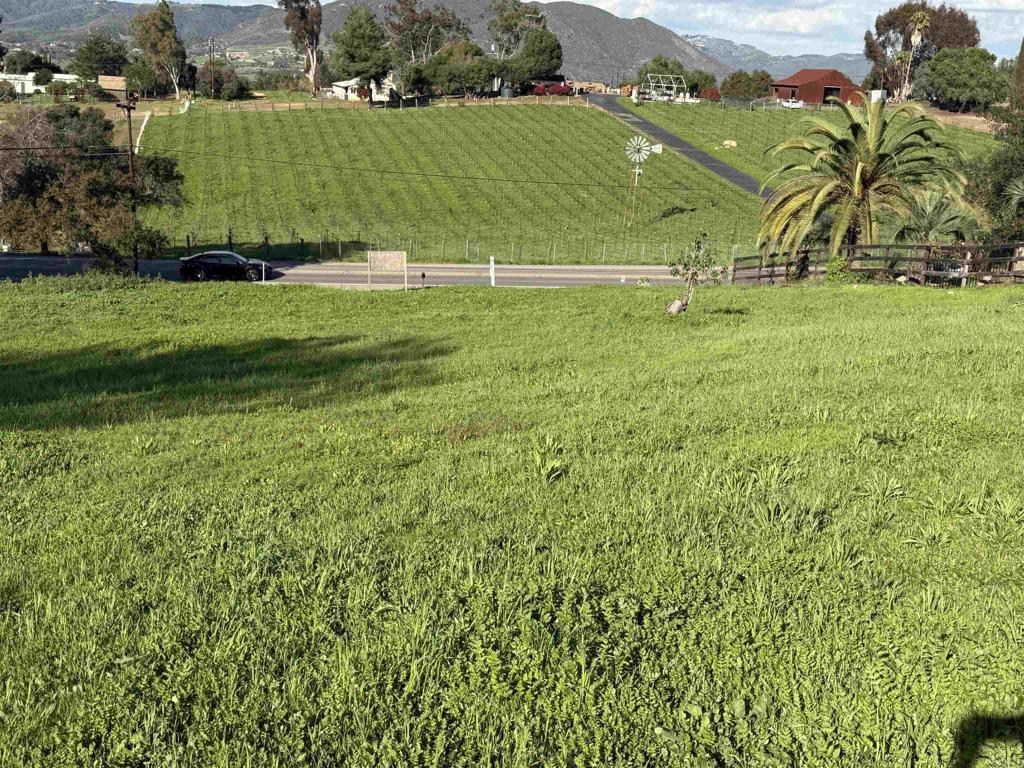 1851 East Mission Road Fallbrook, CA 92028 - Photo 19 of 29