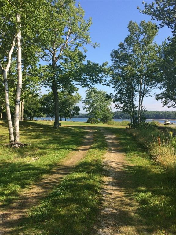 202 Little Deer Isle Road Little Deer Isle, ME 04650 - Photo 23 of 35 Driveway entrance in around the pond