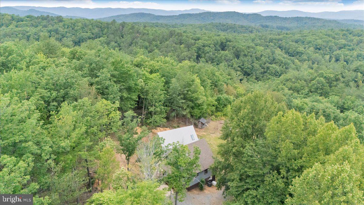 722 Foley Ridge Road Stuart, VA 24171 - Photo 63 of 67 Serene retreat amidst lush greenery.