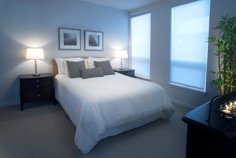 1720 Central Street, Unit 321 Evanston, IL 60201 - Photo 5 of 17 a bedroom with a bed and a potted plant