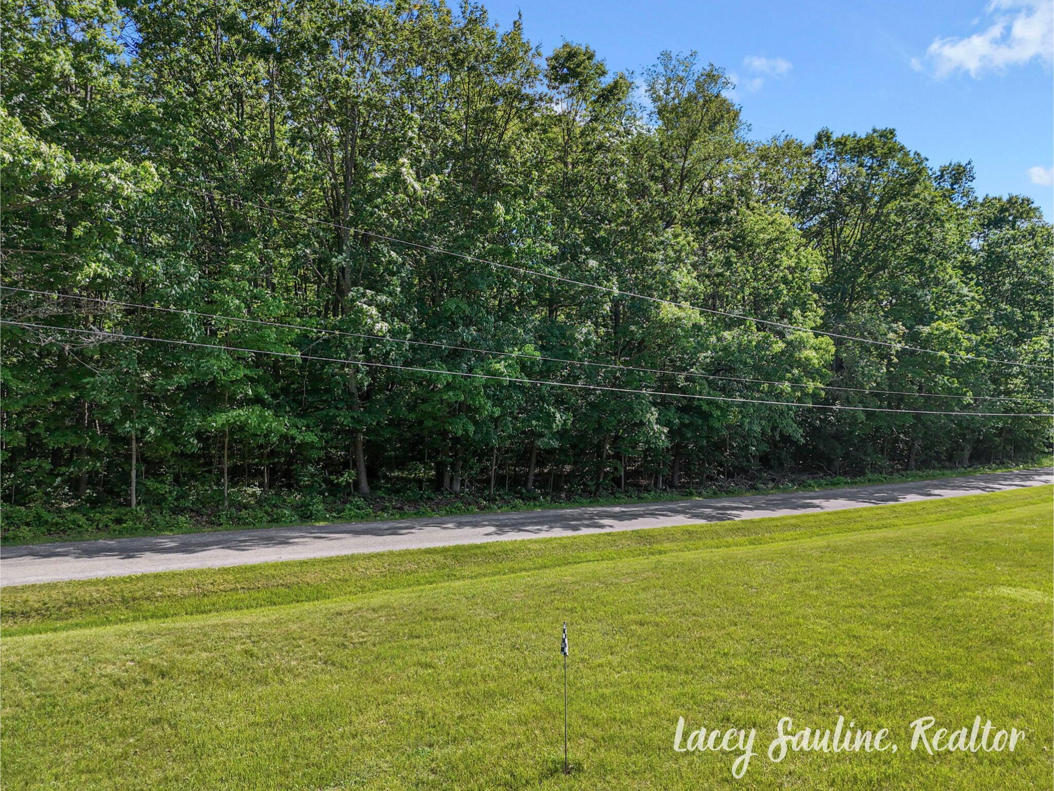 West Finkle Road Cadillac, MI 49601 - Photo 8 of 21 11