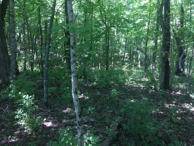0 John Wright Road Mount Juliet, TN 37122 - Photo 10 of 19 Gallery Image 10