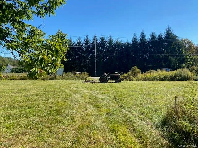 a view of garden with trees