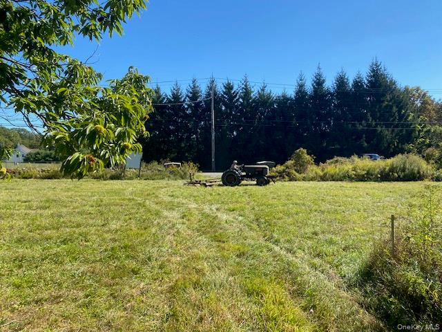 989 Highway 32 Wallkill, NY 12589 - Photo 1 of 37 a view of garden with trees
