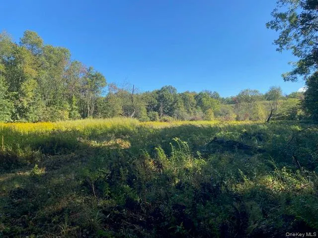 a view of a lush green forest with lots of green space