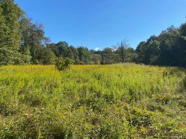 a view of an ocean from a yard