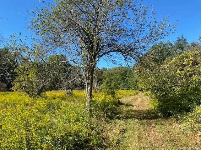 a view of yard along with trees