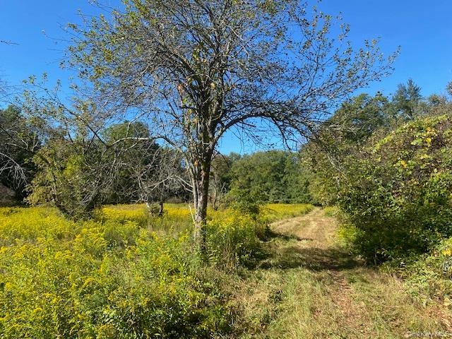 989 Highway 32 Wallkill, NY 12589 - Photo 16 of 37 a view of yard along with trees