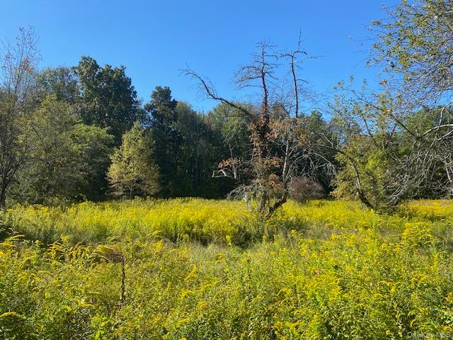989 Highway 32 Wallkill, NY 12589 - Photo 17 of 37 a view of a yard
