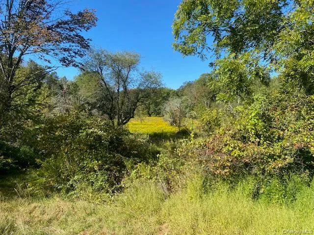 a close up of a flower in a garden