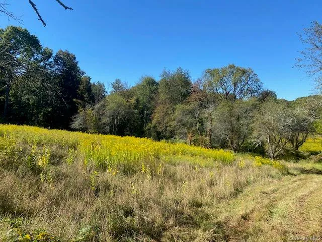 a view of a yard with a house