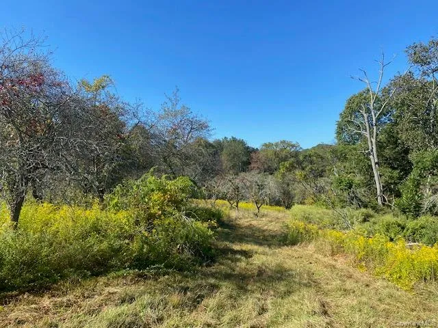 a view of a yard with a tree