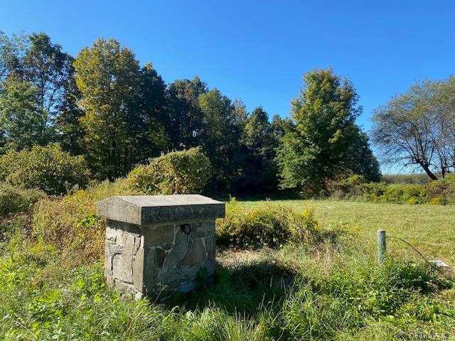 989 Highway 32 Wallkill, NY 12589 - Photo 23 of 37 a view of a garden with plants