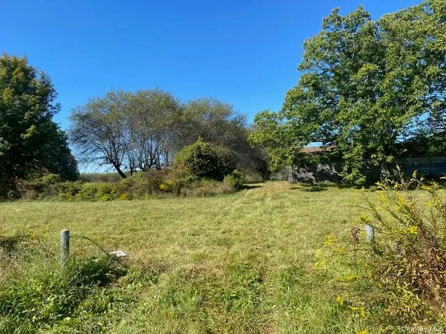 a view of a yard with an trees