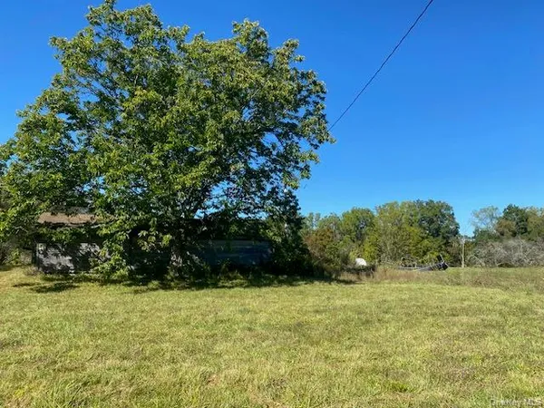 a view of a yard