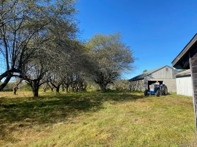 a view of a park with large trees